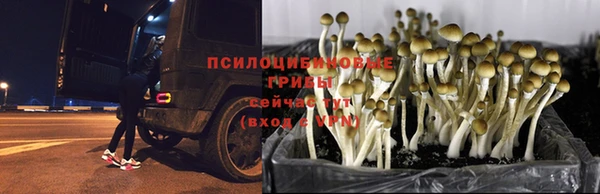 амфетамин Кукмор