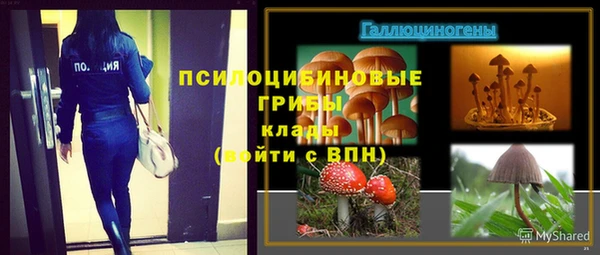 2c-b Куйбышев