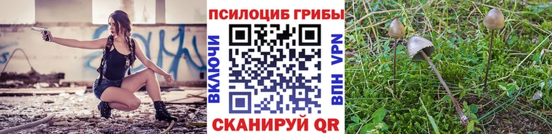 Псилоцибиновые грибы ЛСД  где купить наркоту  Тетюши 