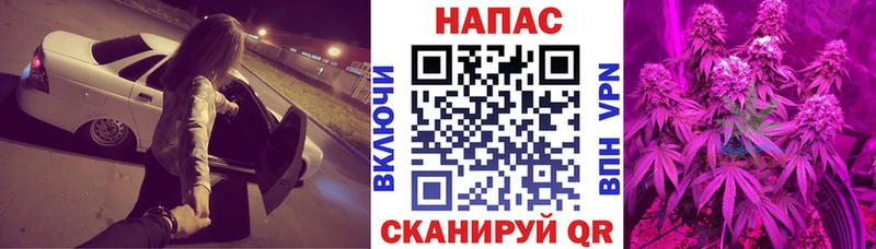 Бошки Шишки планчик Тетюши